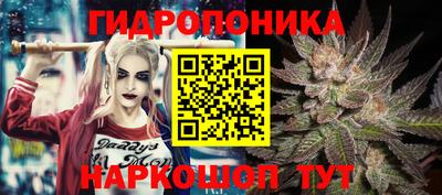 хмурый Будённовск