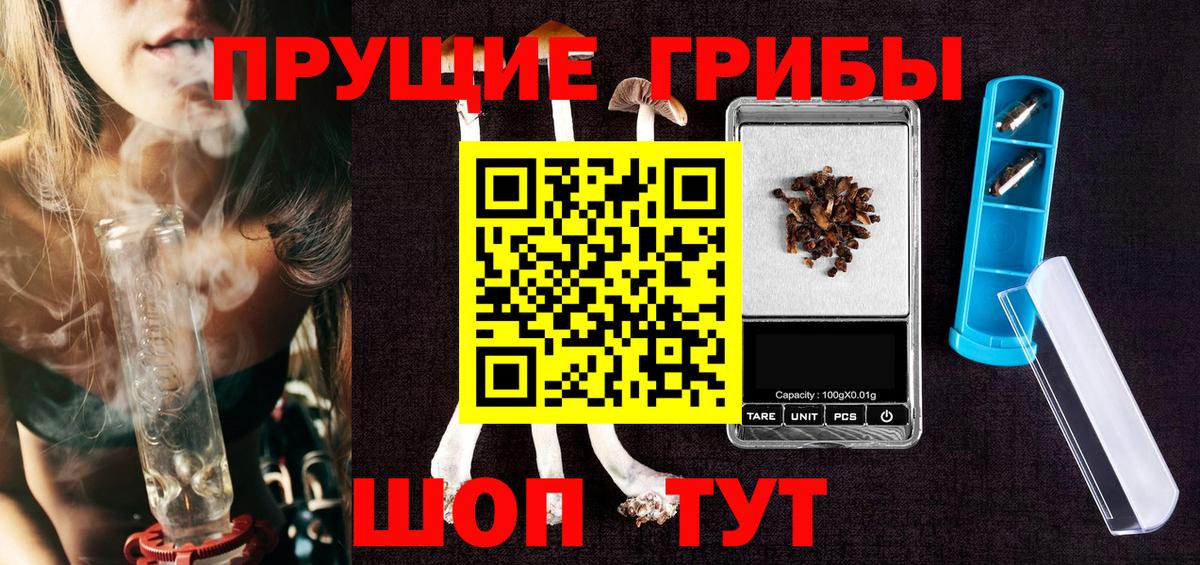 Галлюциногенные грибы Psilocybe Саров