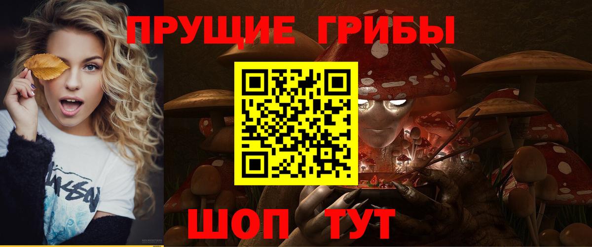 Саров  Галлюциногенные грибы ЛСД  Вход с VPN 
